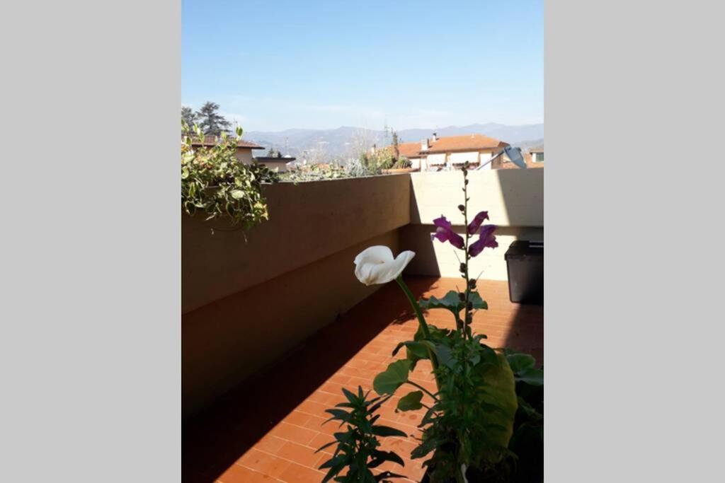 Locazione Turistica Chichibio Apartment Пистоя Екстериор снимка