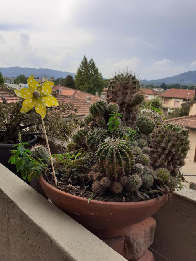 Locazione Turistica Chichibio Apartment Пистоя Екстериор снимка